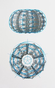 urchin spirals screen print by ameet hindocha ambigraph