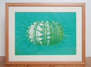 urchin-aqua-by-ambigraph